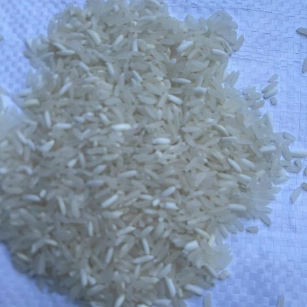 🍚 ĐẶC SẢN GẠO SÉN CÙ TÂY BẮC – THƠM NGON CHUẨN VÙNG CAO 🌾