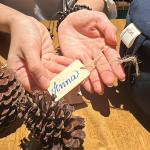 Bồ Đoàn (Đệm) Ngồi thiền Vỏ Đậu Xanh