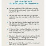 TẢO XOẮN SỢI CHILE GLIFE FOOD TÚI 200 GR - CHAY MẶN ĐỀU DÙNG ĐƯỢC