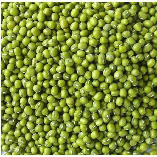 ĐẬU XANH NGUYÊN HẠT 1KG