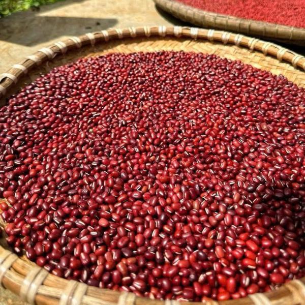 ĐẬU ĐỎ HẠT NHỎ 1KG