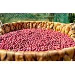 ĐẬU ĐỎ HẠT NHỎ 1KG