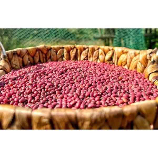 ĐẬU ĐỎ HẠT NHỎ 1KG