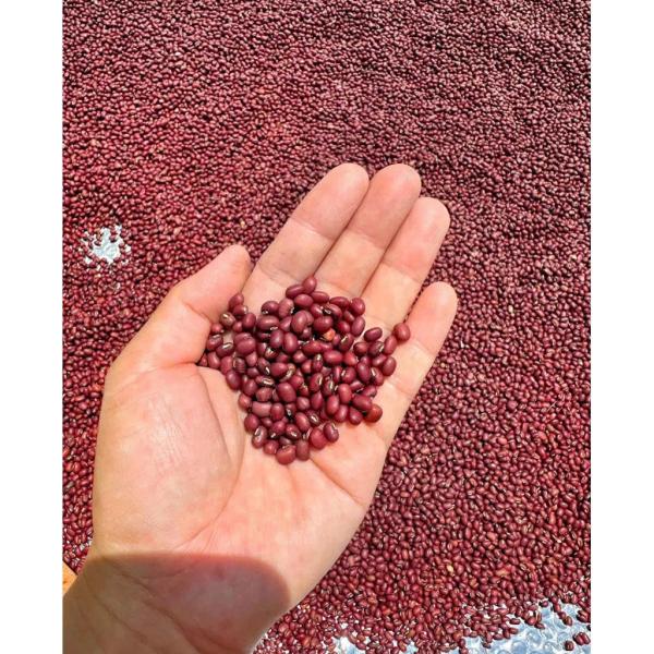 ĐẬU ĐỎ HẠT NHỎ 1KG