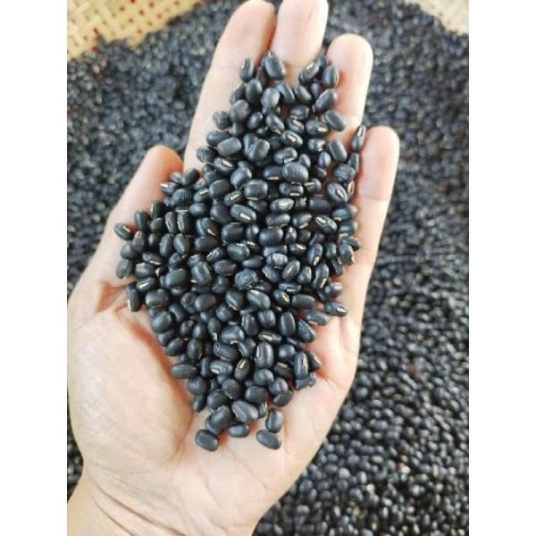 ĐẬU ĐEN XANH LÒNG 1KG