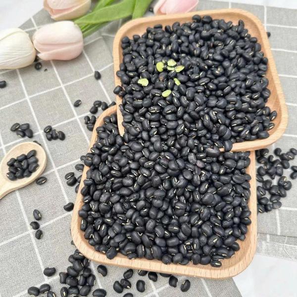 ĐẬU ĐEN XANH LÒNG 1KG