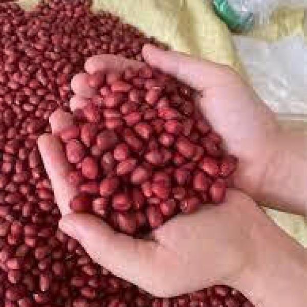 LẠC ĐỎ BÓC TAY 1KG