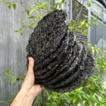 RONG BIỂN NHA TRANG - RONG MỨT 200GRAM