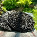 RONG BIỂN NHA TRANG - RONG MỨT 200GRAM