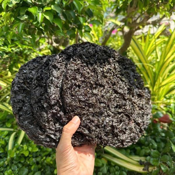 RONG BIỂN NHA TRANG - RONG MỨT 200GRAM