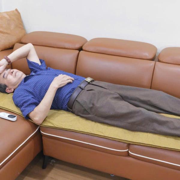 Thảm điện ngải cứu thảo dược SEKA