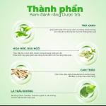 Kem đánh răng dược trà EQ Tech truyền thống hỗ trợ răng chắc khỏe, hơi thở thơm mát dài lâu 100G