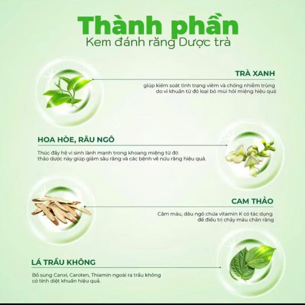 Kem đánh răng dược trà EQ Tech truyền thống hỗ trợ răng chắc khỏe, hơi thở thơm mát dài lâu 100G