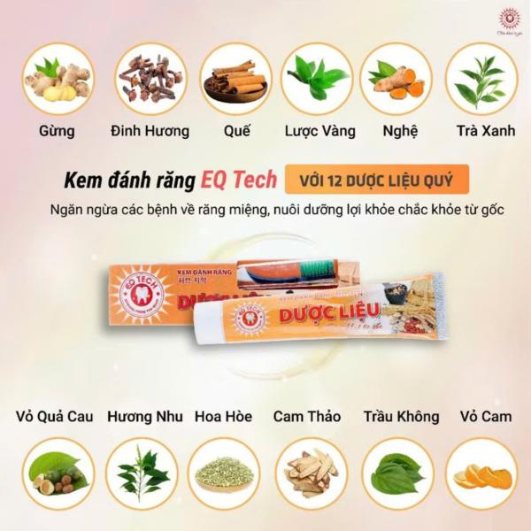 Kem đánh răng dược liệu EQ Tech truyền thống hỗ trợ răng chắc khỏe, hơi thở thơm mát dài lâu 100