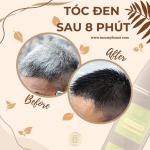 Dầu Gội Phủ Bạc Thiên Nhiên Alo Hair Đen 200ml