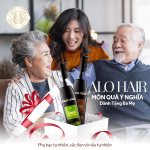 Dầu Gội Phủ Bạc Alo Hair Trao Trọn Yêu Thương Combo Đen & Nâu