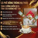 CAFE ĐÔNG TRÙNG HẠ THẢO - KDHP