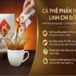CAFE PHẤN HOA LINH CHI ĐỎ - KDHP