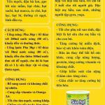 Sữa hạt thực dưỡng