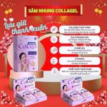 Combo tiêu dùng xanh KT369