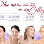 NƯỚC UỐNG SÂM NHUNG – COLLAGEN