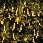 Dây Đèn Giọt Lệ Vàng