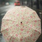 Ô HOA 24 NAN CHỐNG TIA UV UPF50+, CHỐNG NƯỚC HÃNG TEWA