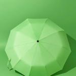 💛💚💙💗 Bốn sắc màu, bốn cá tính trong bộ sưu tập Ô TEWA JAPAN “Color Your Day