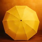 💛💚💙💗 Bốn sắc màu, bốn cá tính trong bộ sưu tập Ô TEWA JAPAN “Color Your Day