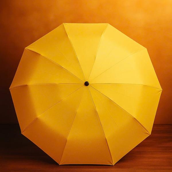 💛💚💙💗 Bốn sắc màu, bốn cá tính trong bộ sưu tập Ô TEWA JAPAN “Color Your Day