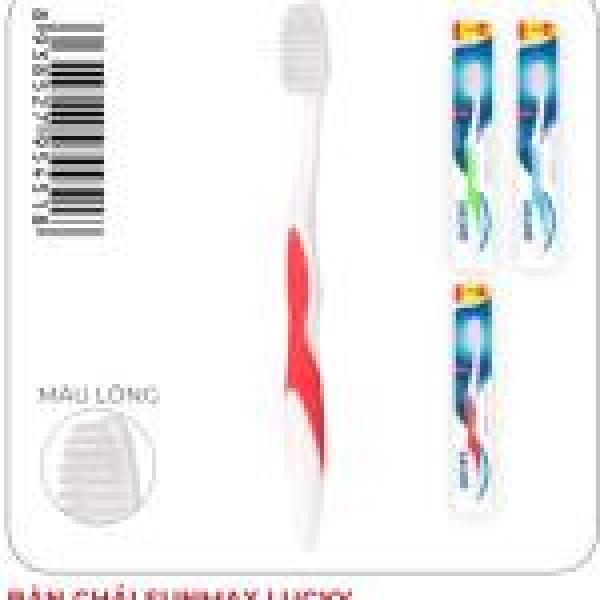 Bàn chải Sunmax Lucky