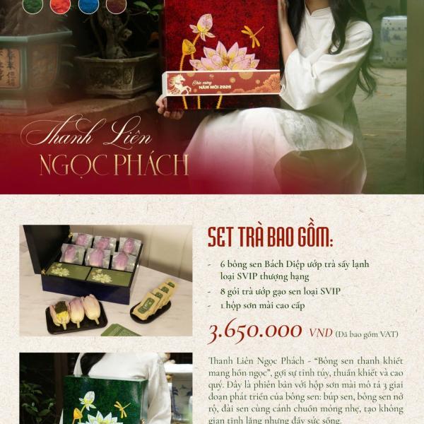 SET TRÀ - THANH LIÊN NGỌC PHÁCH